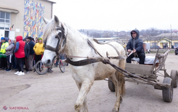 Circa 3 000 de gospodării din R. Moldova au primit hrană pentru animale, donată de FAO: „Sprijin de urgență gospodăriilor rurale, care să le permită să nu renunțe la creșterea animalelor și să sporească producția de lapte”