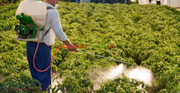 Pesticidele utilizate în agricultură pot fi responsabile pentru șase tipuri de cancer. Au același efect ca fumatul