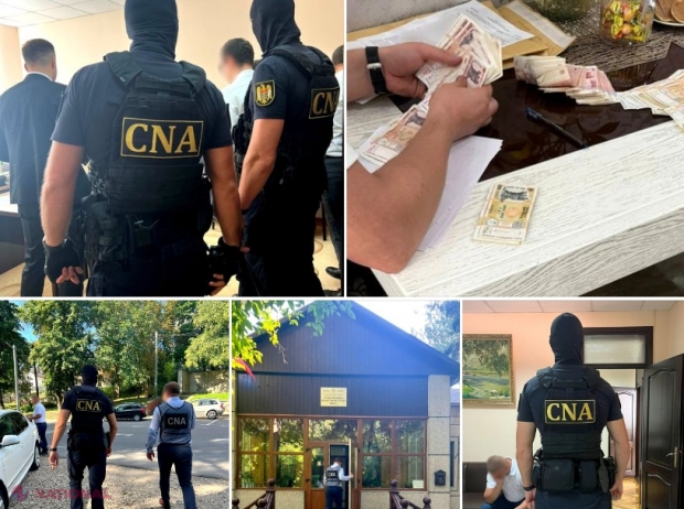 INTERCEPTĂRI // „Apărătorii” pădurii ar fi furat ca în codru. Patru funcționari au dispus TĂIEREA ilegală a unor copaci, iar ulterior vindeau lemnul și își luau banii: „Și câte oleacă, țâca - țâca...”