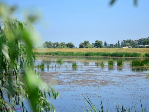 Luna iunie, între plus 1,6 și plus 40,1 grade Celsius, pe teritoriul R. Moldova: Cea mai ploioasă lună din an și vârtejul care a „măturat” Slobozia și Căușeniul