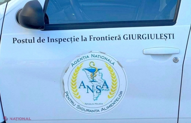 Șapte dintre cei 11 angajați ANSA de la Giurgiulești reținuți săptămâna trecută au fost plasați în arest la domiciliu