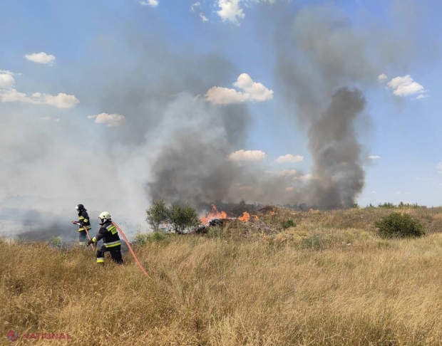 Incendiul de la Cahul: Va fi nevoie de șapte ani și 600 de mii de lei pentru a readuce cele circa 13 hectare de pădure în starea inițială