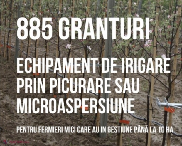 IFAD // IMPORTANT pentru agricultorii din R. Moldova: 885 de granturi a câte 7 500 de dolari, destinate procurării echipamentului de irigare prin picurare sau microaspersiune