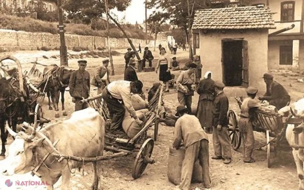 DEMERS // Parlamentul R. Moldova, îndemnat să CONDAMNE deportările staliniste ale moldovenilor și foametea din 1946-47 din Basarabia și să le califice drept GENOCID. „Sute de mii de oameni au suferit în urma criminalului plan al regimului stalinist”