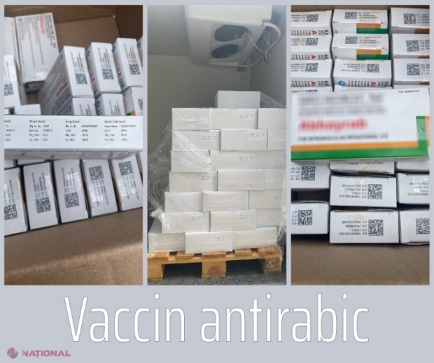 Încă un lot de vaccin antirabic a ajuns în R. Moldova: A costat peste 650 de mii de lei și a fost procurat din India