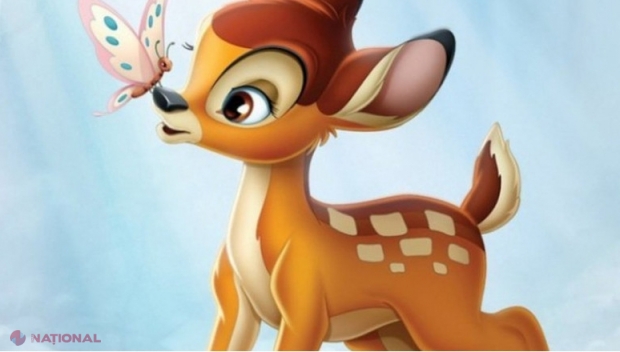 Braconier din SUA, condamnat să se uite timp de un an la filmul „Bambi