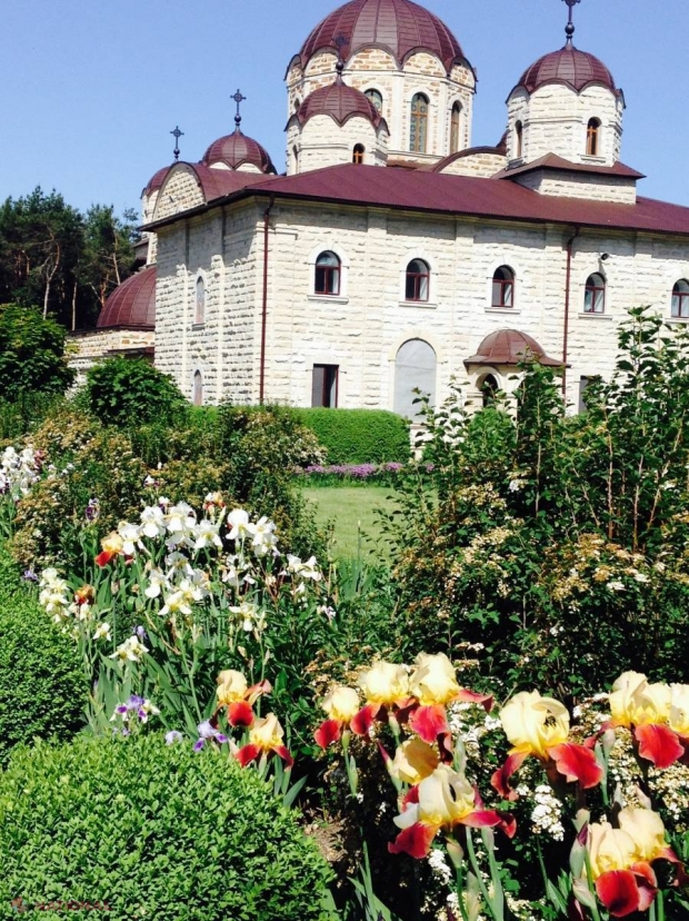 Sfatul nutriţionistului Tamara Șchiopu //La mănăstire, după inspirații eco gastronomice