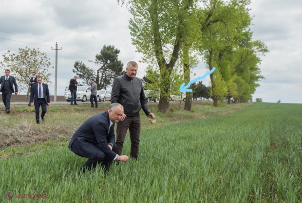 FOTO // Risipa de BANI făcută de Dodon pe timp de pandemie, când mai multe state acordă ajutoare UMANITARE R. Moldova. Un demnitar DEZVĂLUIE cât costă o vizită a președintelui în teritoriu: „Este însoțit de 40 oameni din PAZĂ...”