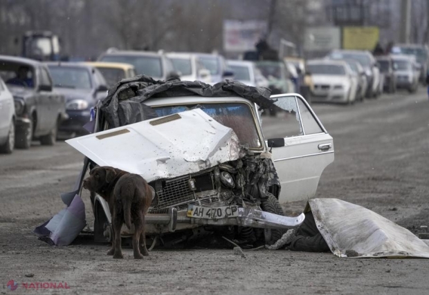 VIDEO // Soldații lui Putin, spaima CÂINILOR din Ucraina. Rupți de foame, aceștia vânează patrupezii. „Ce am mâncat? Am dat jos un ALABAI” 