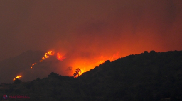 Și Europa poate lua foc din cauza temperaturilor arzătoare. Care sunt țările cu cel mai mare risc la incendii