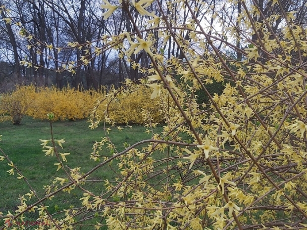 METEO // De Paște, ca VARA: Cum va fi vremea duminică, pe 2 mai