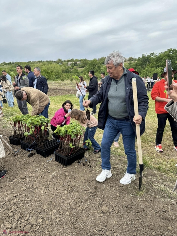 FOTO // „Mircea Lucescu a scris ISTORIE și pe pământul românesc al R. Moldova”. Unul dintre cei mai titrați antrenori din istoria fotbalului a PLANTAT viță-de-vie la o vinărie din sudul republicii