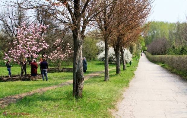 PARADISUL de la marginea Chișinăului