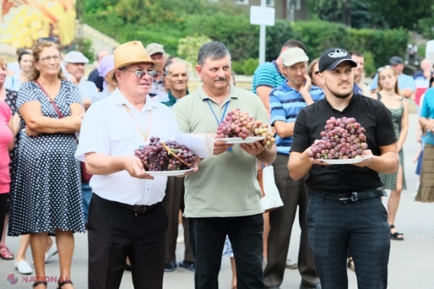 FOTO // Cel mai MARE STRUGURE a fost crescut, în acest an, într-un sat din raionul Cahul: Cântărește aproape 4 kg și a fost vândut cu 850 de lei