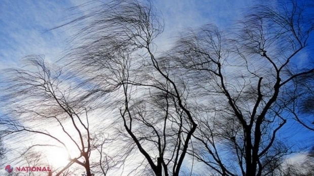 METEO // Cod galben de VÂNT puternic în R. Moldova: Cât timp va fi valabil