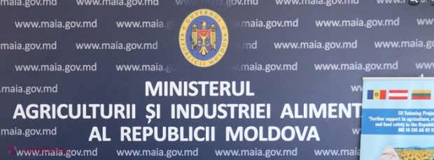 Ministerul care va avea mai mulți angajați: Direcție responsabilă de fondul funciar și crearea Serviciului hidroameliorație 