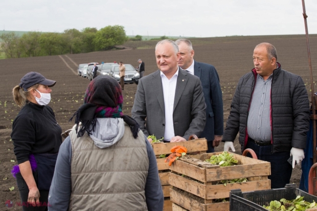 Stând în AMBUTEIAJE, Igor Dodon a realizat că președintele Maia Sandu și-ar fi TRIPLAT paza de corp. „Ea se teme. Sute de oameni sunt implicați în fiecare dimineață. Eu îi văd, îi cunosc…”