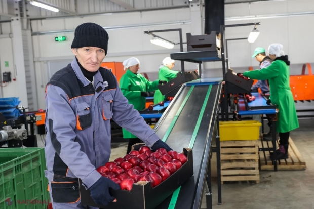 Producătorii de MERE din nordul R. Moldova nu mai mizează pe piața Federației Ruse. Dorin Recean: „Piețele europene oferă predictibilitate și oportunități pentru producătorii moldoveni”