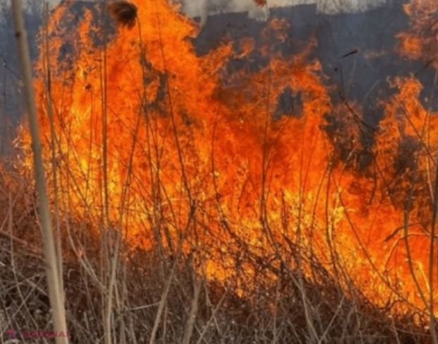 FOTO // Cine este pompierul care a decedat în timp ce stingea un incendiu în raionul Florești: Avea 36 de ani și era tatăl a doi copii. „Și-a dat viața în timp ce își îndeplinea datoria de a proteja oamenii”