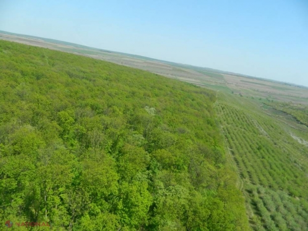 Atenție! Evitați ODIHNA în pădure până la 1 mai