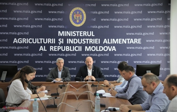 Jumătate din materia primă pentru producerea preparatelor din carne este IMPORTATĂ: Autoritățile își propun să revitalizeze sectorul zootehnic din R. Moldova