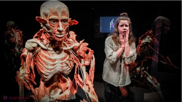 FOTO // Expoziţia de cadavre umane „Body Worlds” a stârnit controverse în Rusia. Evenimentul este acum investigat de autorități